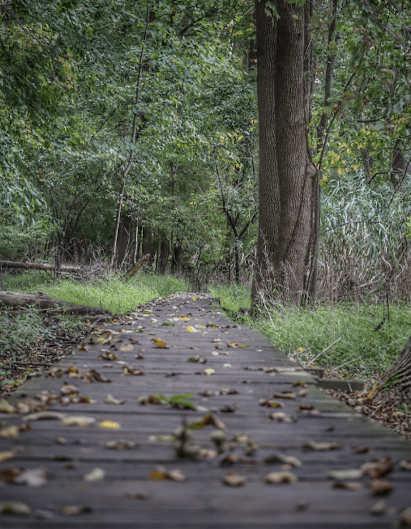 Life After a Suicide Attempt