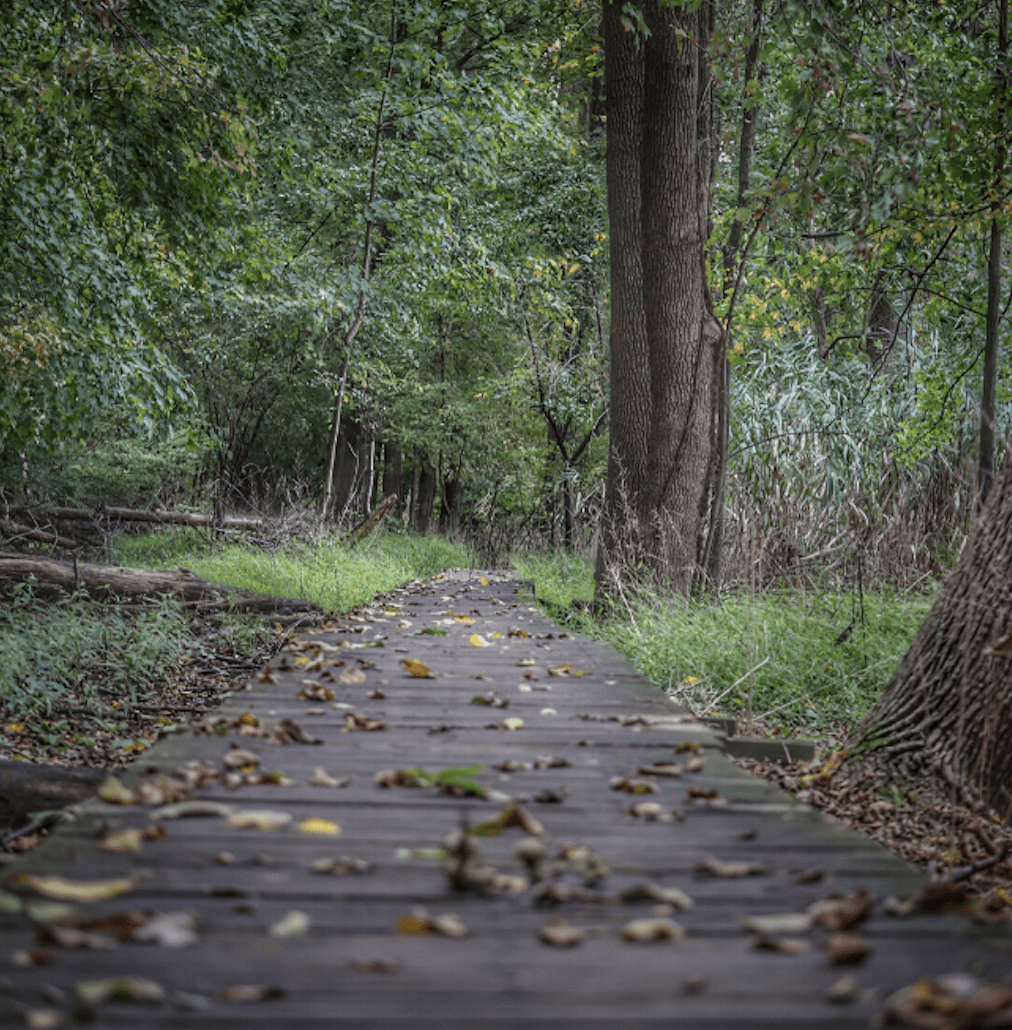 Life After a Suicide Attempt